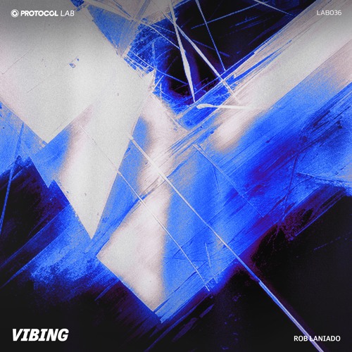 Rob Laniado - Vibing