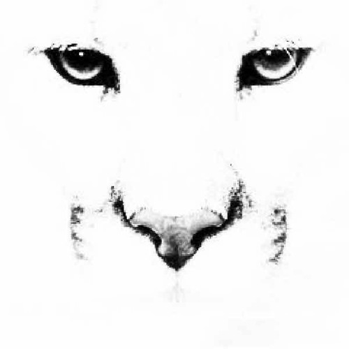 CT012 The Name House Music ( Cougar Trax - Pure Science )