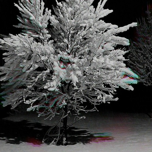 Apricity Fading