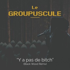 Le Groupuscule - Y a pas de bitch (Black Wood Remix)
