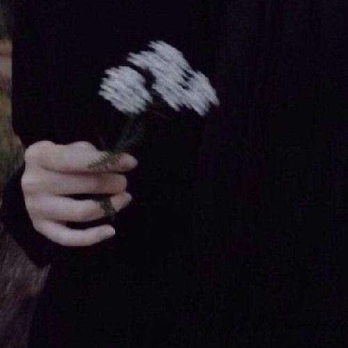 Son Lux - Lost it to Trying (slowed+reverb by idiolatria_)