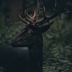 animal cannibal