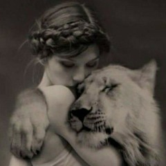 gwandanna night owls