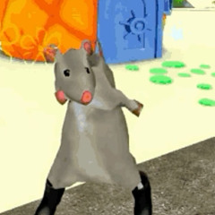 RAT PAPU