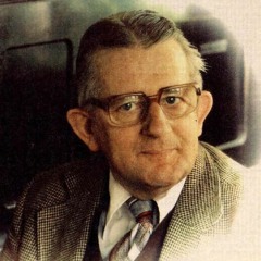 Het rosse leven aan de gracht-Romke de Waard