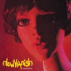 howVanish Cinnamon