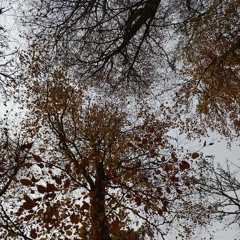 November Organic selection