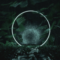 Mohammed Basel - Jungle of Mirrors [Dark Tribal & Deep Progressive House 2025]