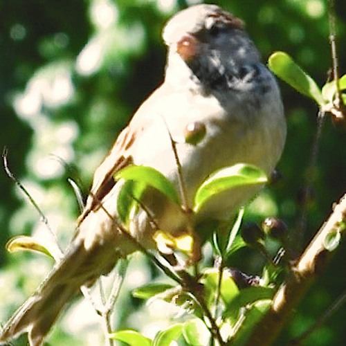 forget about it (prod. ETA)