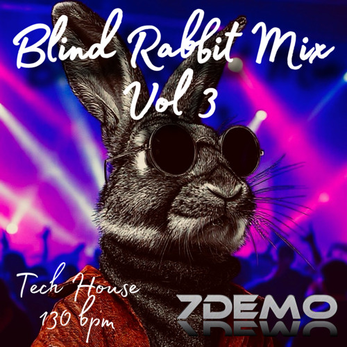 Blind Rabbit Mix Vol. 3 (Tech House)