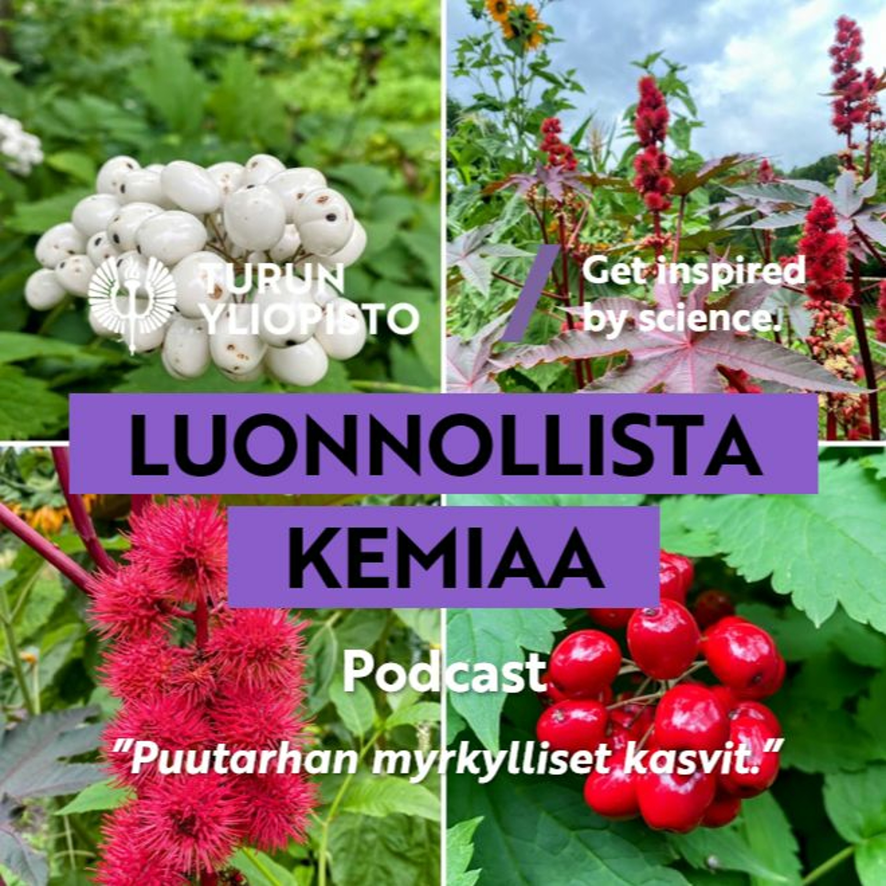 Luonnollista kemiaa: Puutarhan myrkylliset kasvit episode artwork