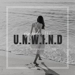 U.N.W.I.N.D 041 (24 November 2025)