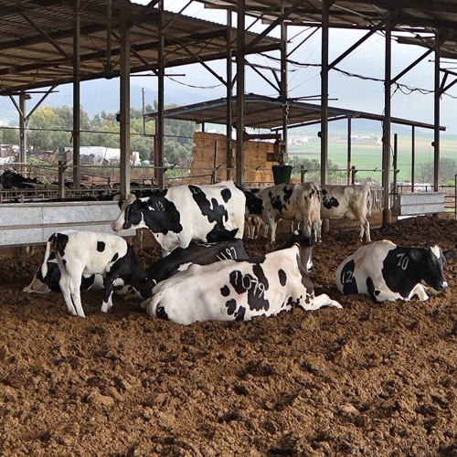 #20 מבנה חברתי