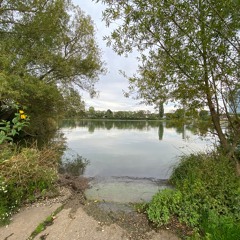 Reflection (analogue version)
