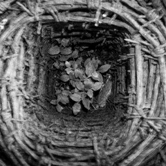 ESTRANGEMENT live KYIV 2021