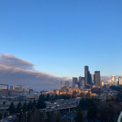Puget Sound Mist