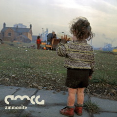 Ammonite (Hold on to That) [Rave Dub]