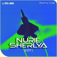 Tiesto & SWACQ - Party Time (Nurie Sherlya Edit)