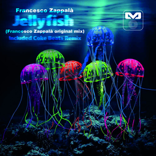 Francesco Zappala - Jellyfish