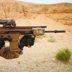 Assault rifle (7.62x51mm NATO cal)