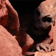 X-files NL - Ep. 03-01 - "The Blessing Way"