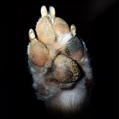 Angel (feat. Katie Gavin)