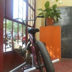 Bicicleta en mantenimiento