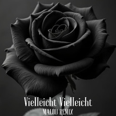 Vielleicht Vielleicht ( MALOU REMIX )