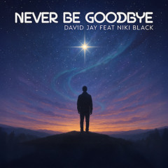 Never Be Goodbye feat. Niki Black (Radio Edit)