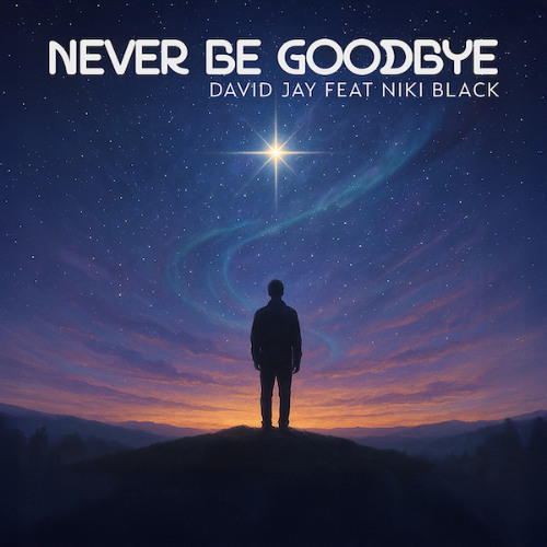 Never Be Goodbye feat. Niki Black (Radio Edit)