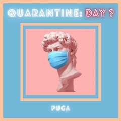 quarantine: day ?