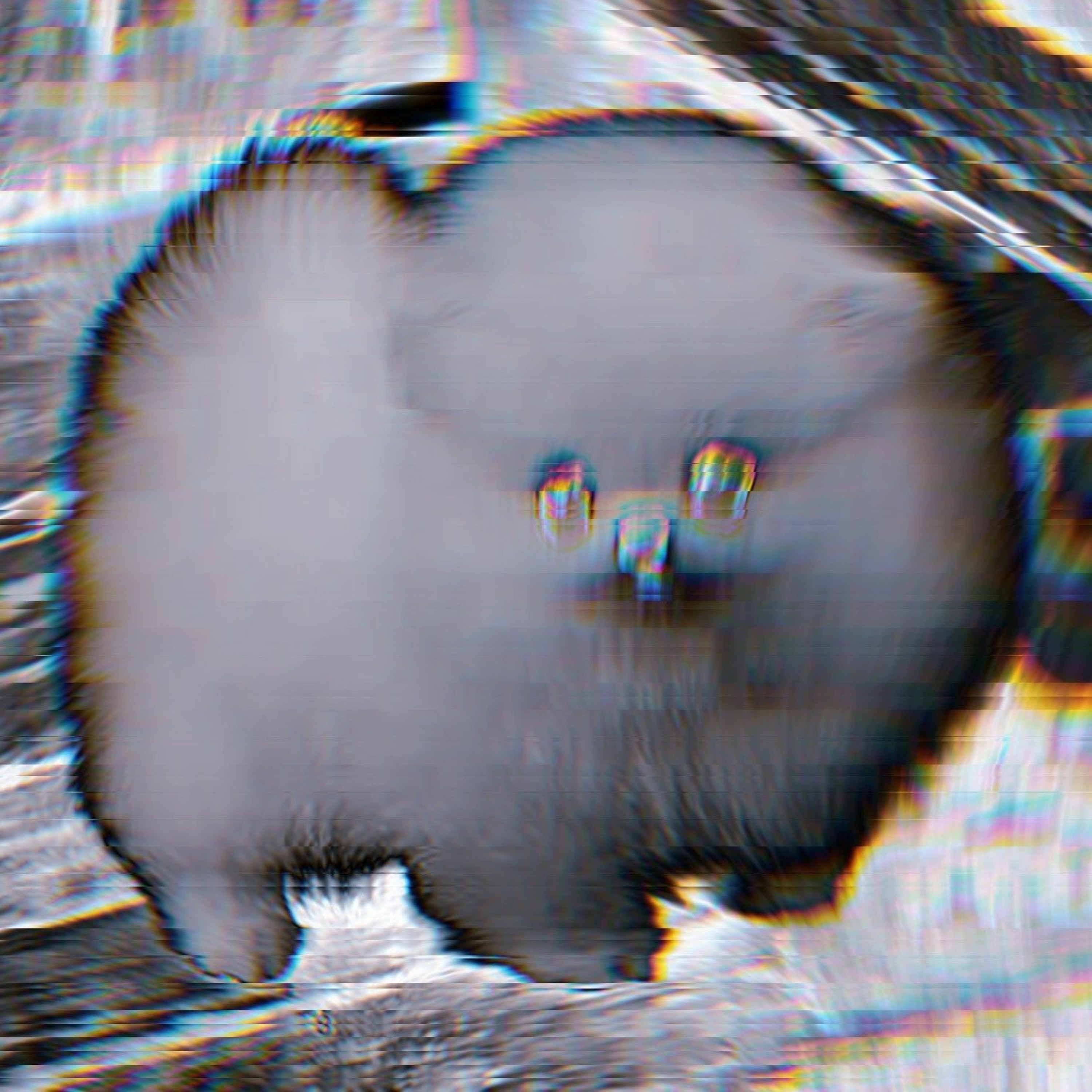Downtempo Wubs Vol. 31 episode artwork
