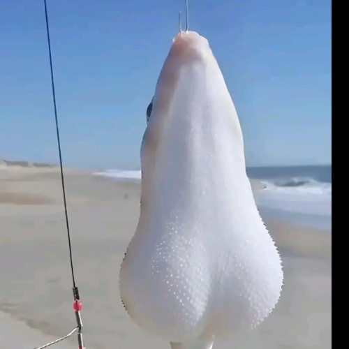 just downloaded fl studio this thing sucks i cant understand anything i hate this