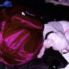 flygrabba - leave u 2 rot (prod.kxxxxi)