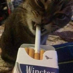 J'BAISE HONEY SOUS HYPERPOP #hyperpop