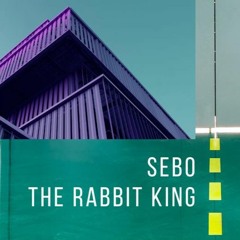 The Rabbit King & Sebo - Terasa Baraka - 2023 - 05 - 19