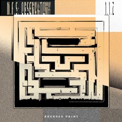 M.F.S Observatory - 1.1 [Kneaded Pains]
