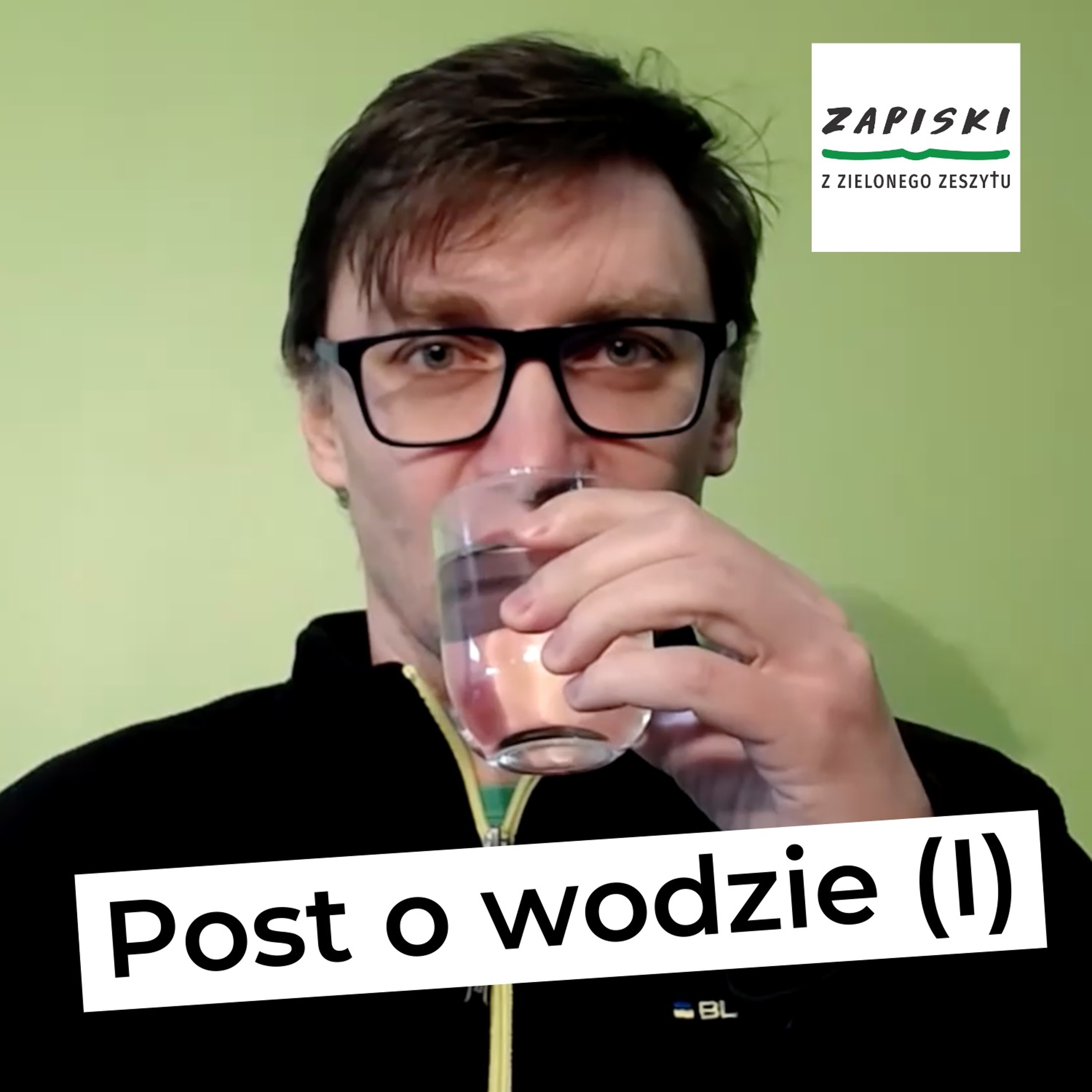 Zapiski z zielonego zeszytu