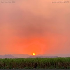 tss summertime minimix