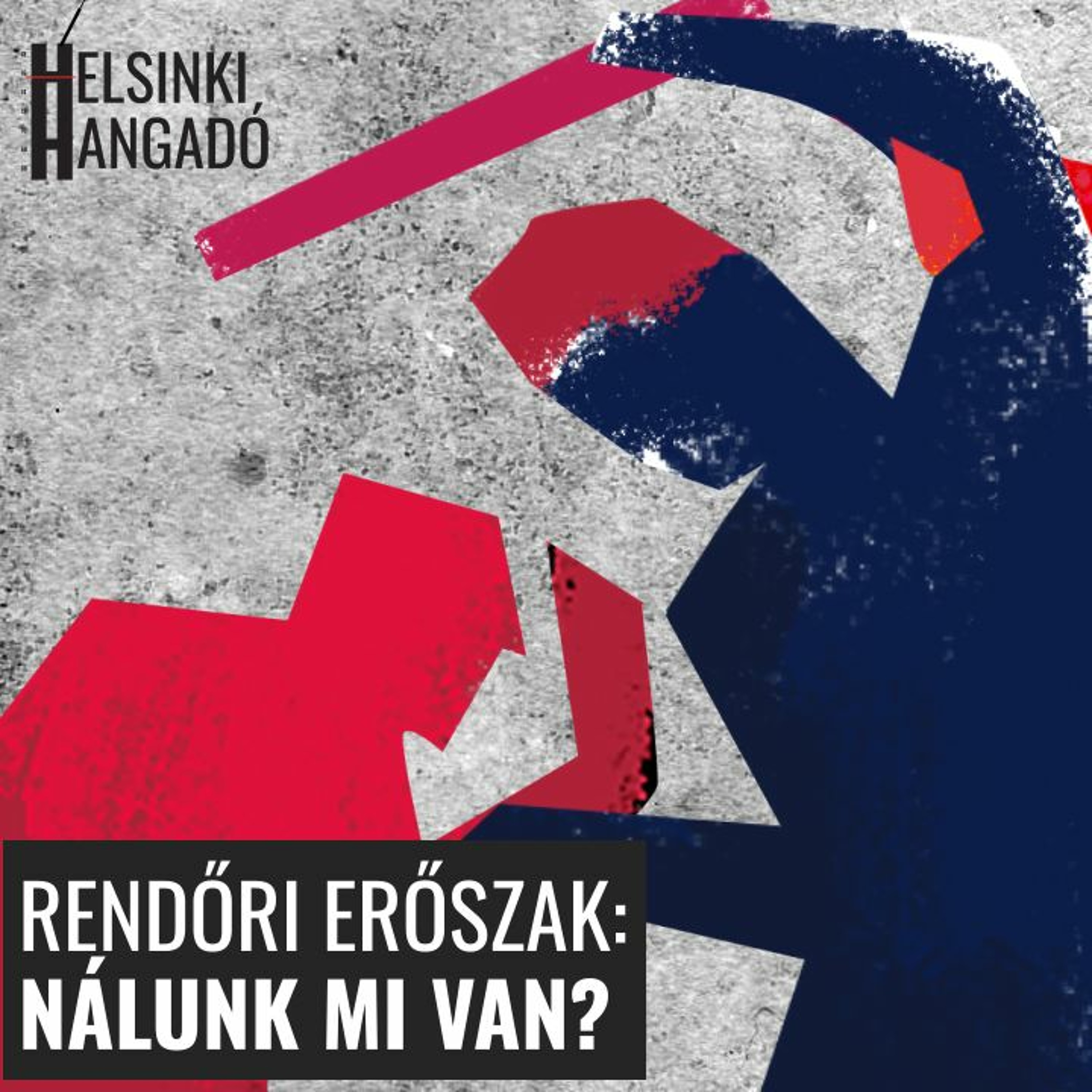 Magyar Helsinki Bizottság