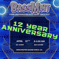 Live @ BassMint 12 Year Anniversary