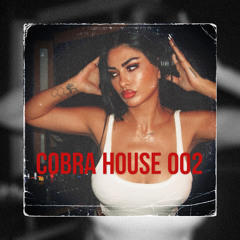 Cobra House 002 | Minimal Tech House Mix