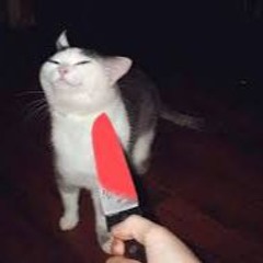 [NO AU] leaD lehtaL (scrimped)
