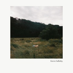 Forest Lullaby (feat. Sara Muñiz)