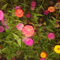 Ridin' Around - Stoopid x Yung John