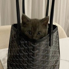 book bag prod rockkhardt