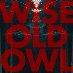 Anti Atlas feat Gaz Coombes on Guitar - Wise Old Owl