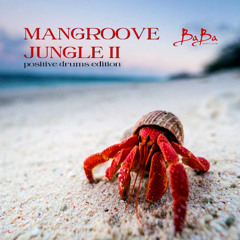 MANGROOVE JUNGLE v.2 | Positive drums edition