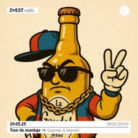 Soundcloud podcast image for Tour de manège - Goomar & Mandal 