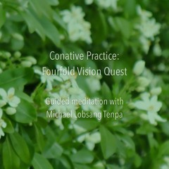 Conative Practice: Fourfold Vision Quest | Guided meditation